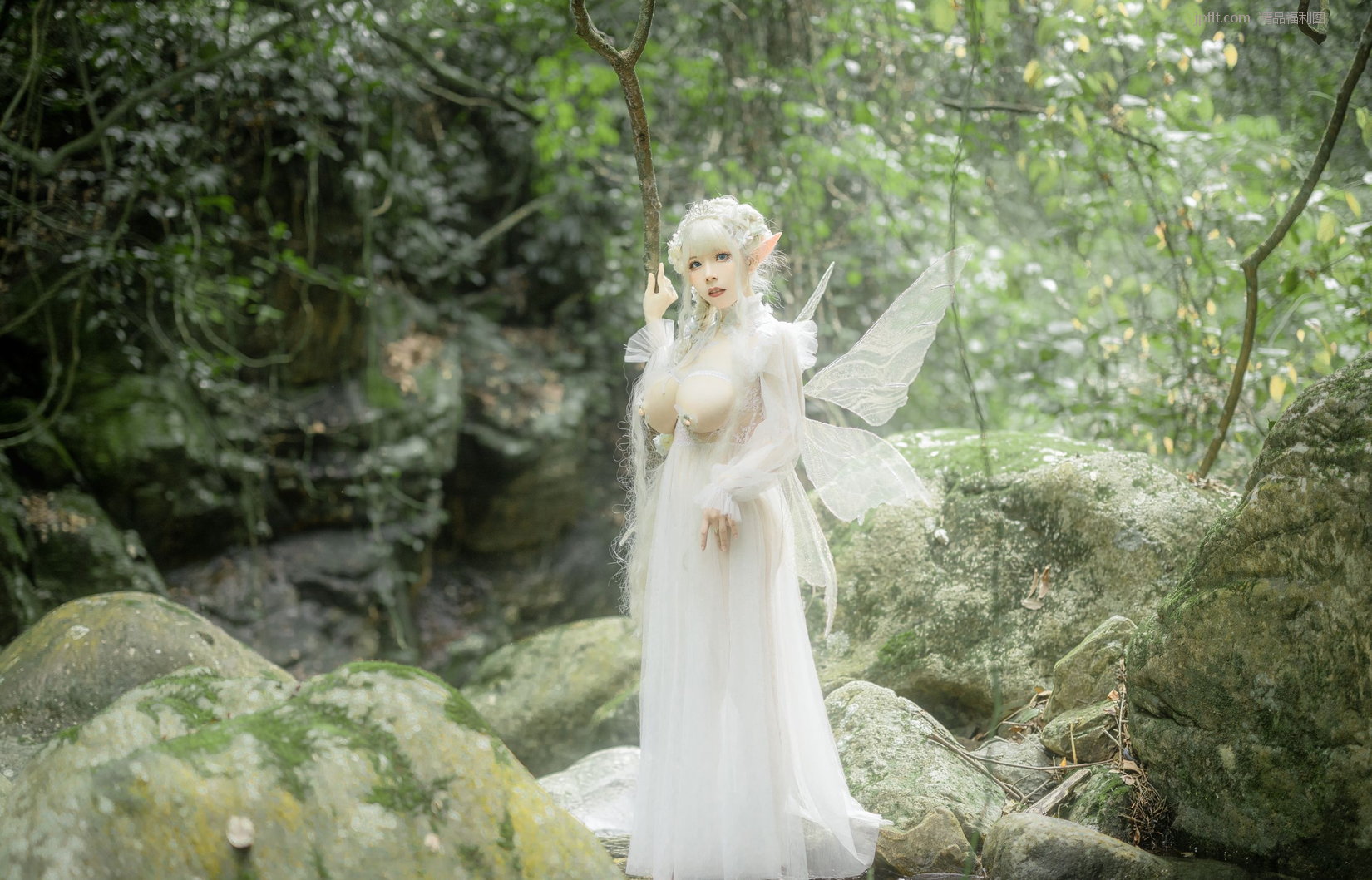 Ա [Coser ] (Сʹwy) о/112P 8ҳ 