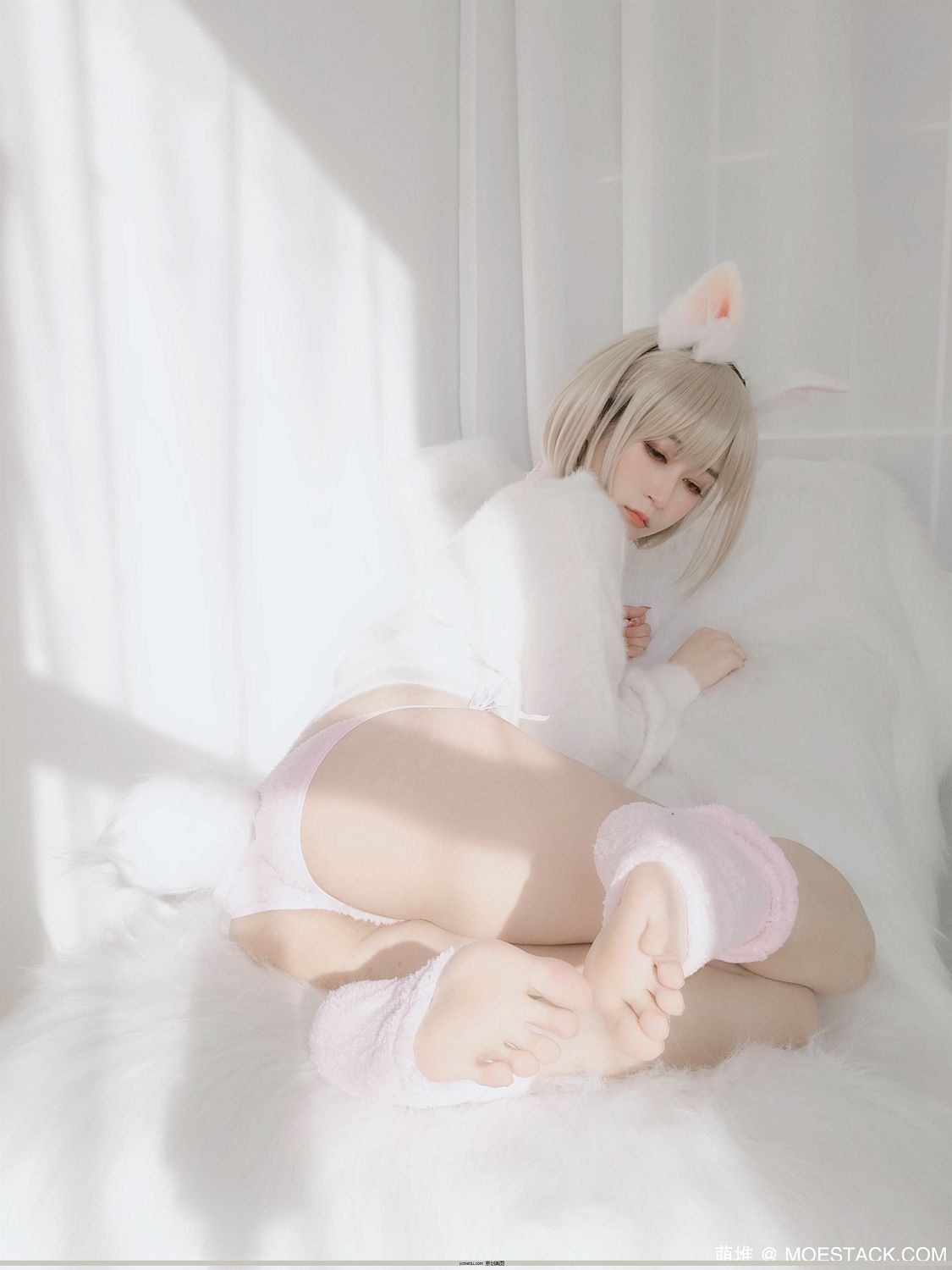 ΢춯Coser@Ůд @81 C С[105P]