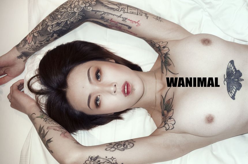 [75P] VIP ڹ () WANIMALٷ ͼ  1ҳ 