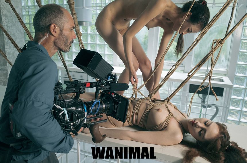 WANIMALƷ ͼ [112P] ʥ (ʮ) 5ҳ 