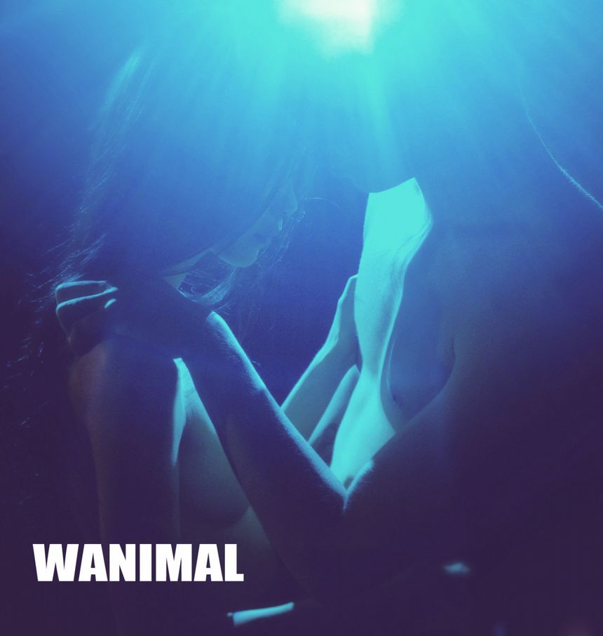 ڹ () [86P] WANIMAL ͼ 1ҳ 