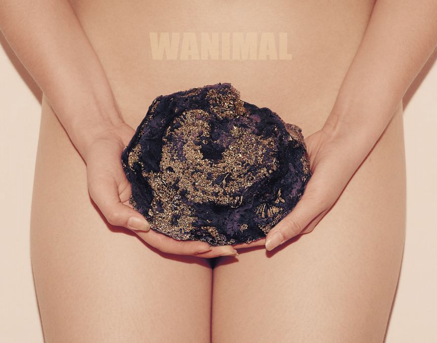 [86P] () WANIMAL ڹ ͼ 5ҳ 